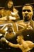 Boxing collage
