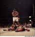 The Champ