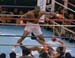 Tyson goes down - finally