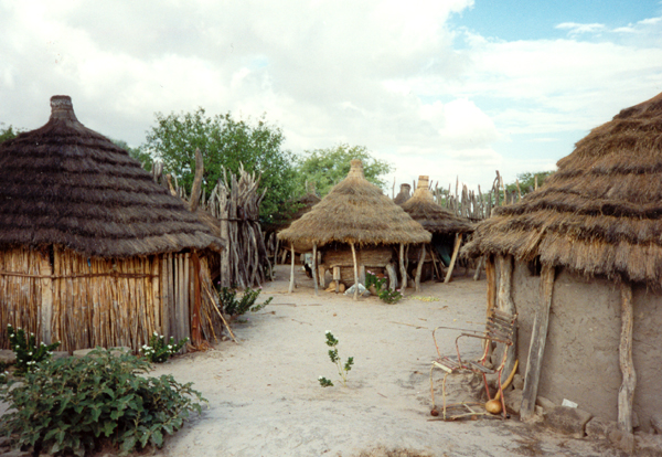 NAM036