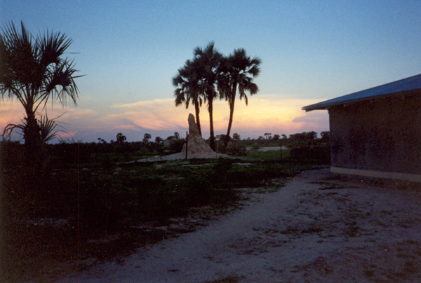 NAM039