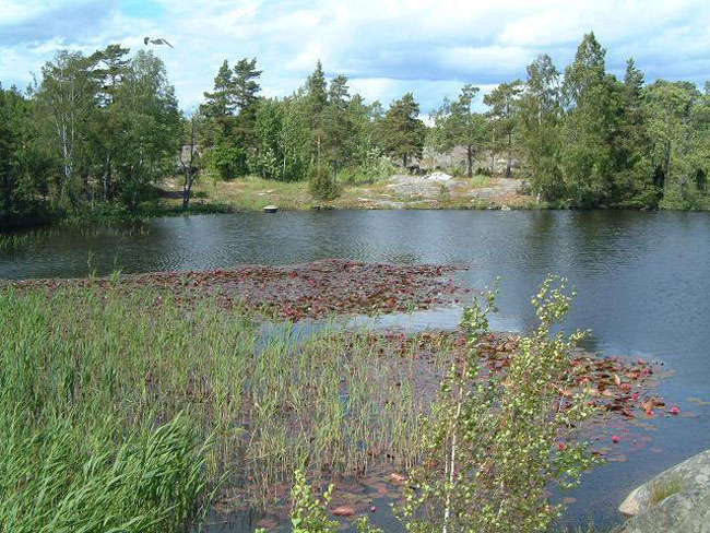 A little lake on the island