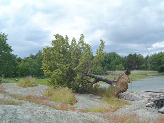 Strong winds around the coast