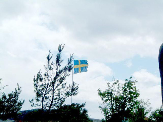 Swedish flag