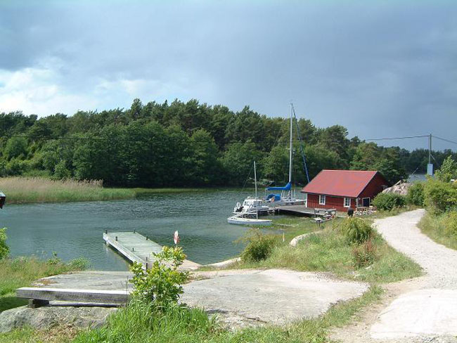 The coast with a jetty